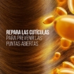Imagen de Shampoo Pantene Restauracion  100 MLL