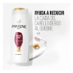Imagen de Shampoo Pantene Control Caida 200 MLL
