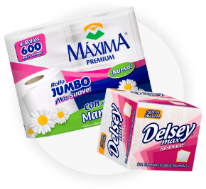 Imagen para la categoría Papel Y Servilletas