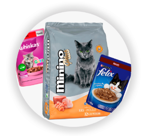 Imagen para la categoría Gatos