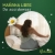 Imagen de Toallas Femeninas Naturella Noche Con Alas 8 PZS