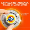Imagen de Detergente En Polvo Ace Regular 900 GRS