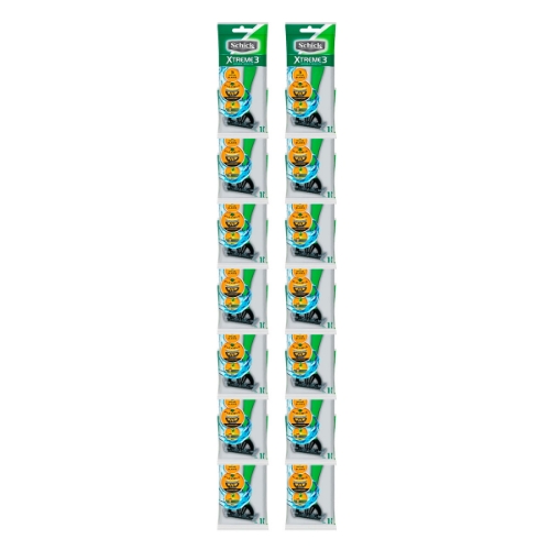 Imagen de Rastrillo Schick Xteme 12 PZS