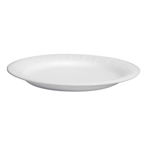 Imagen de Plato Deshechable Jaguar Térmico Liso 20 PZS