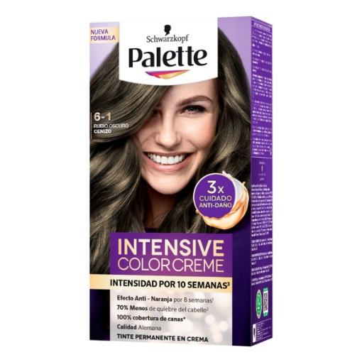 Imagen de Tinte Palette 6-1 Rubio Oscuro Cenizo 1 PZS