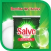 Imagen de Detergente Salvo En Polvo  500 GRS